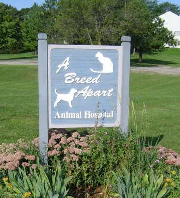 A Breed Apart Animal Hospital Picture 8