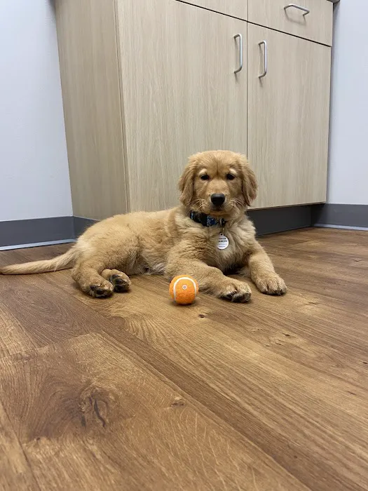 Faircrest Veterinary Care Picture 3