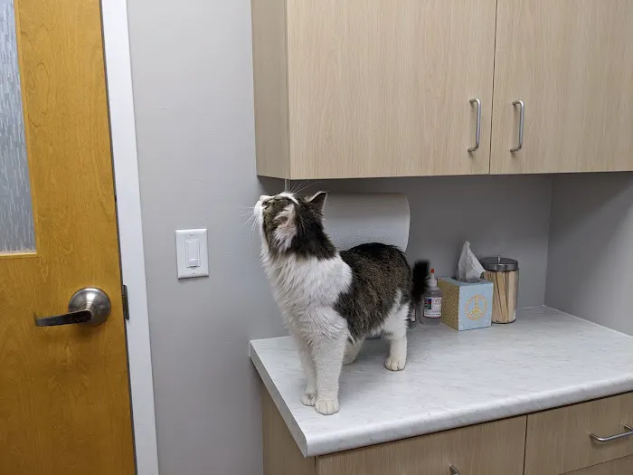 Faircrest Veterinary Care Picture 1