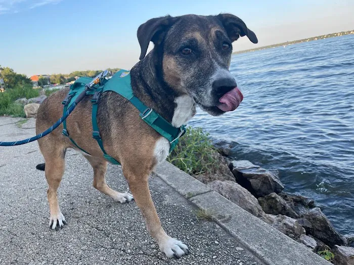 Faircrest Veterinary Care Picture 4