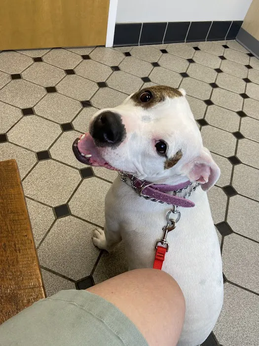 Faircrest Veterinary Care Picture 6