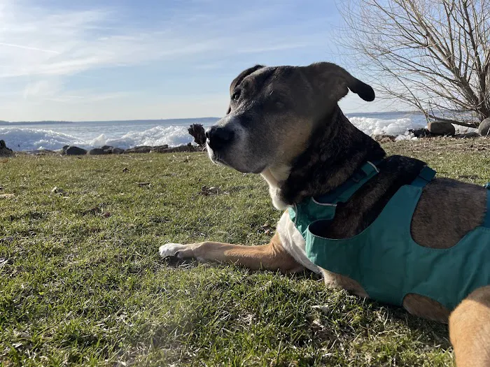 Faircrest Veterinary Care Picture 5