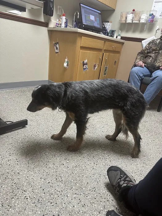 All Creatures Veterinary Hospital Picture 1