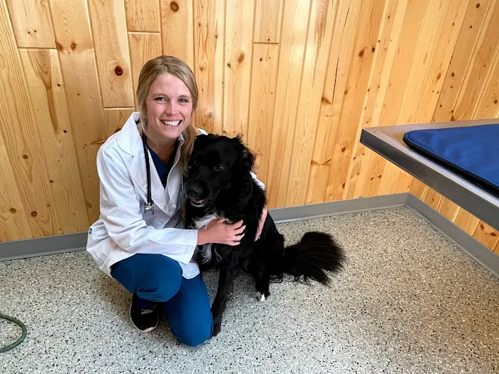 All Creatures Veterinary Hospital Picture 2