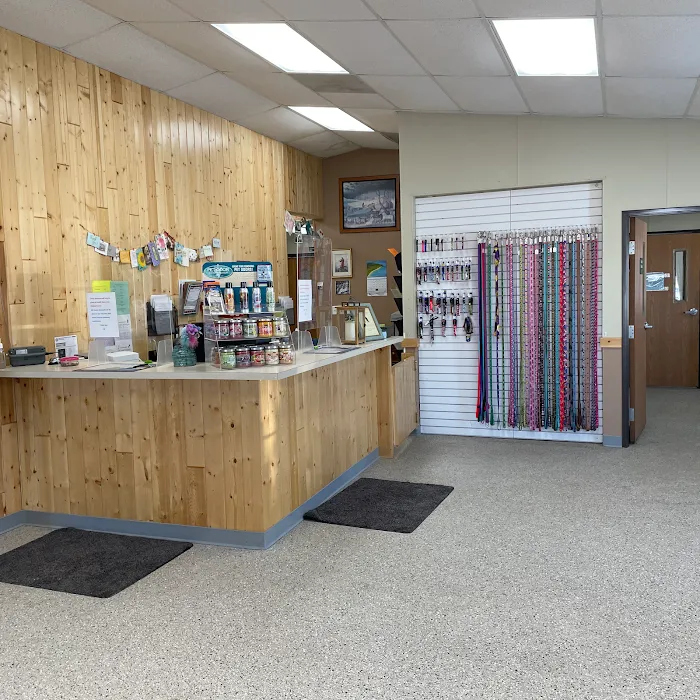 All Creatures Veterinary Hospital Picture 9