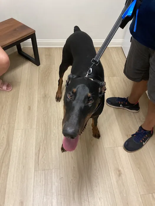 Braelinn Animal Hospital Picture 1