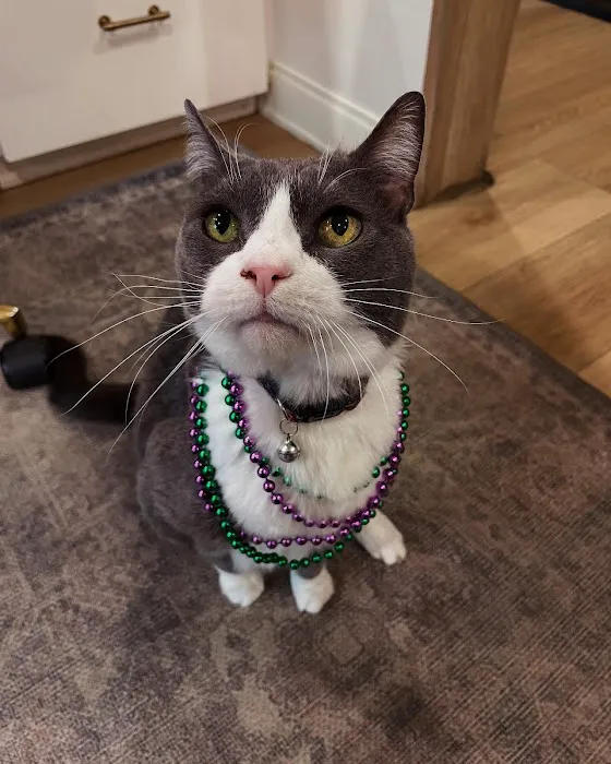 Braelinn Animal Hospital Picture 9