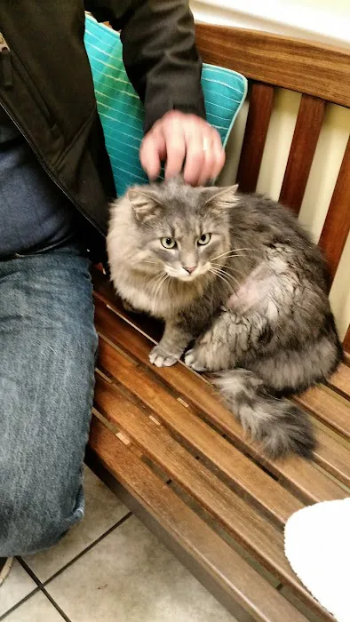 VCA Braelinn Village Animal Hospital Picture 5