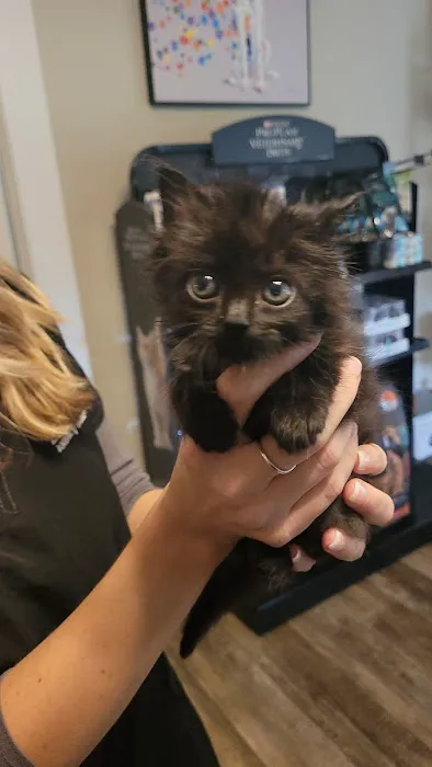 Zebulon Animal Hospital Picture 3