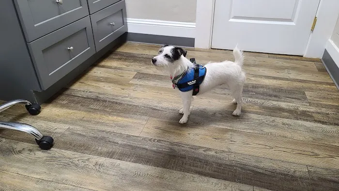 Zebulon Animal Hospital Picture 2