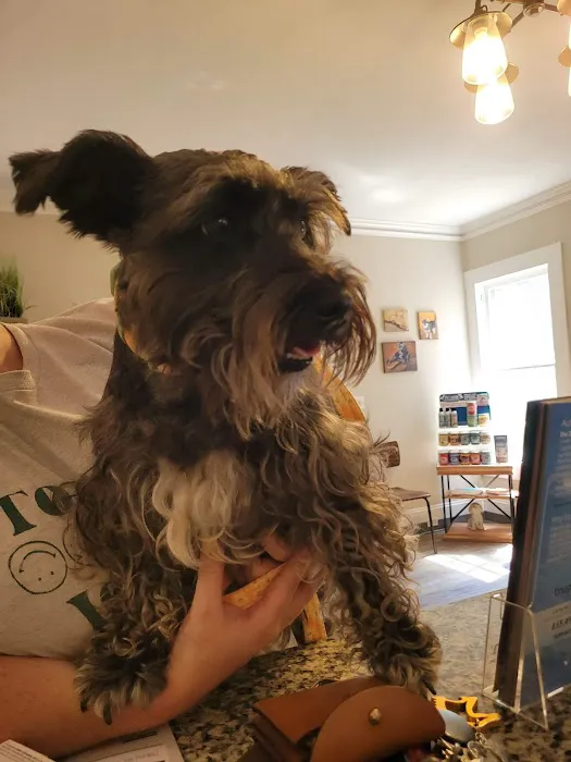 Zebulon Animal Hospital Picture 8