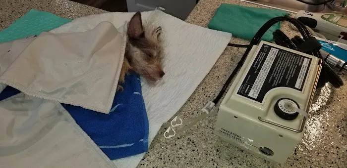 Newnan Animal Hospital Picture 5