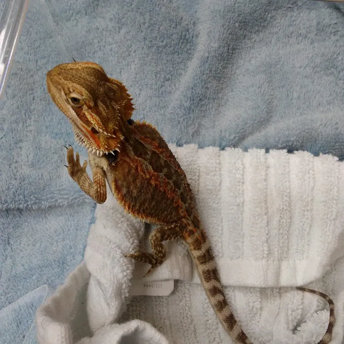 Newnan Animal Hospital Picture 2