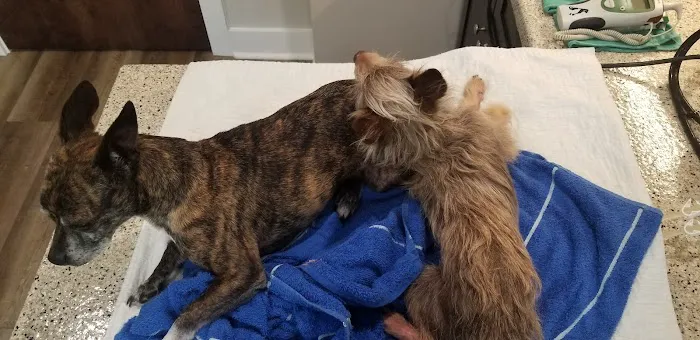 Newnan Animal Hospital Picture 4