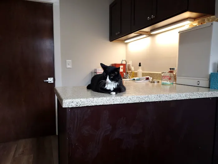 Newnan Animal Hospital Picture 1