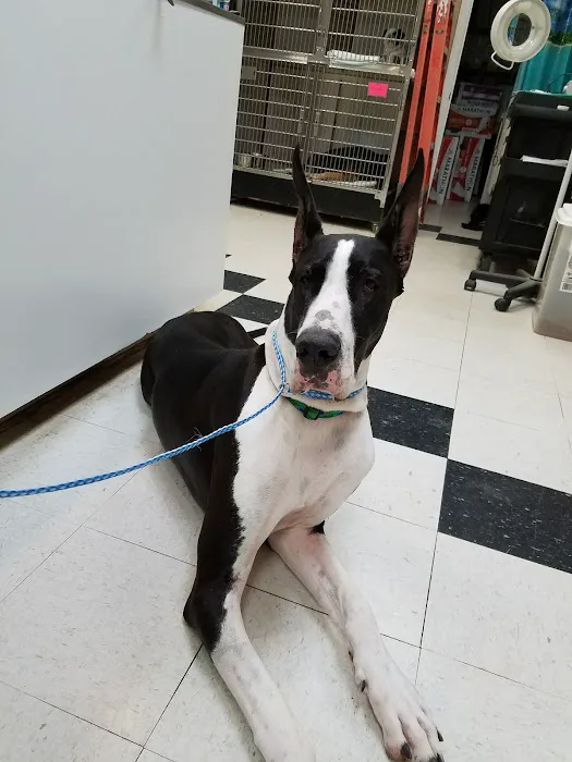 Newnan Animal Hospital Picture 8