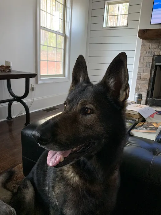 Newnan Animal Hospital Picture 7