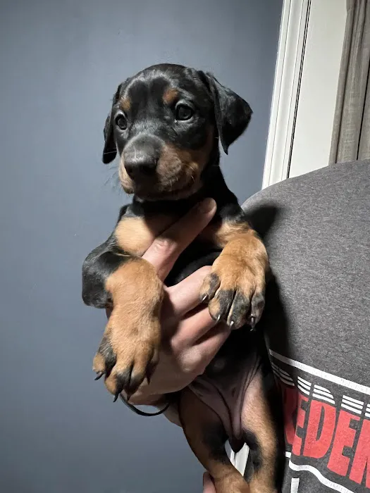 Newnan Animal Hospital Picture 10