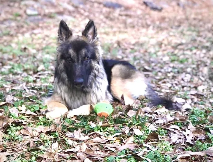 Michael Wilson, DVM Picture 2