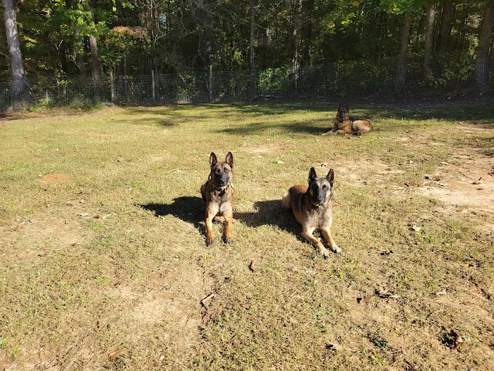 Crossroads Animal Hospital Picture 4