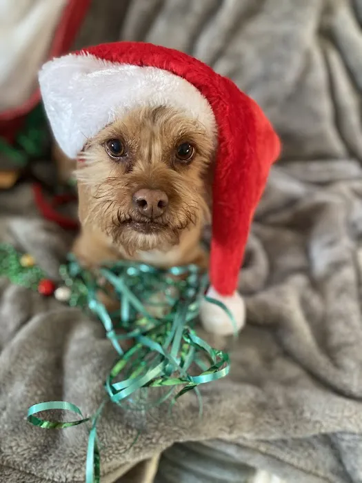 Crossroads Animal Hospital Picture 2