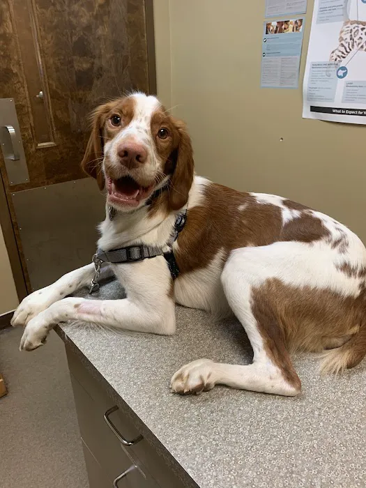 Crossroads Animal Hospital Picture 6