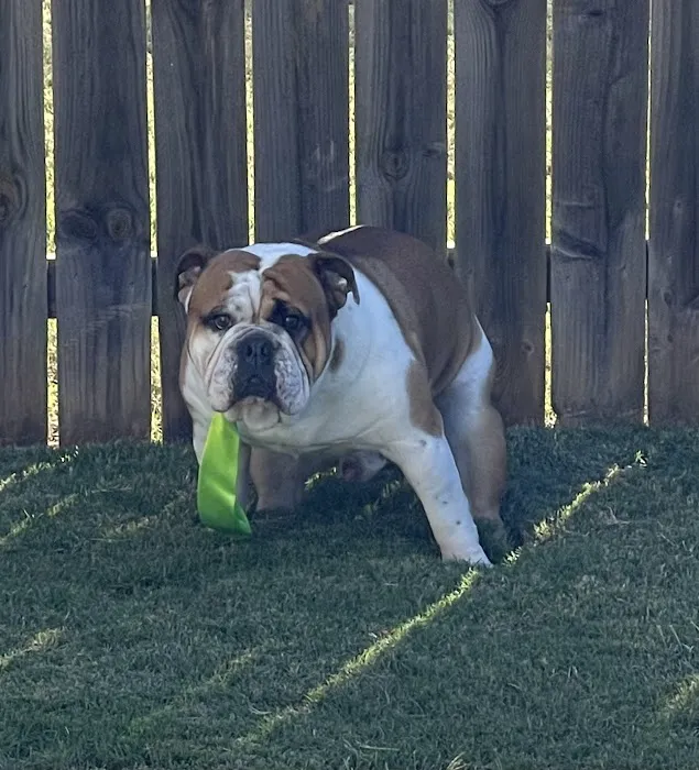 Crossroads Animal Hospital Picture 7