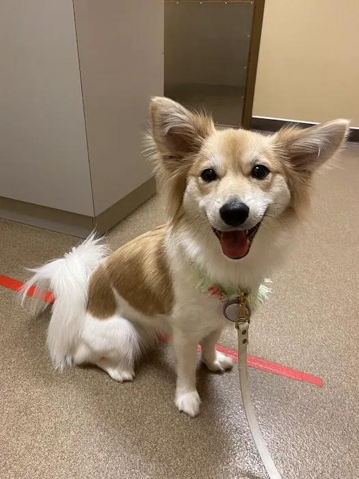 Crossroads Animal Hospital Picture 9