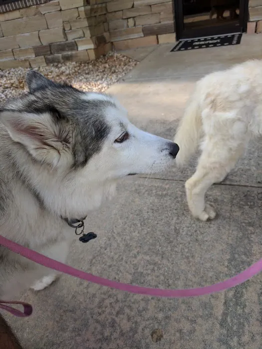 Crossroads Animal Hospital Picture 8