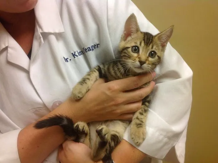 Mark Watson DVM Picture 6