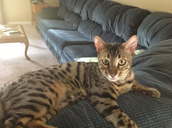 Lee Webb DVM Picture 5