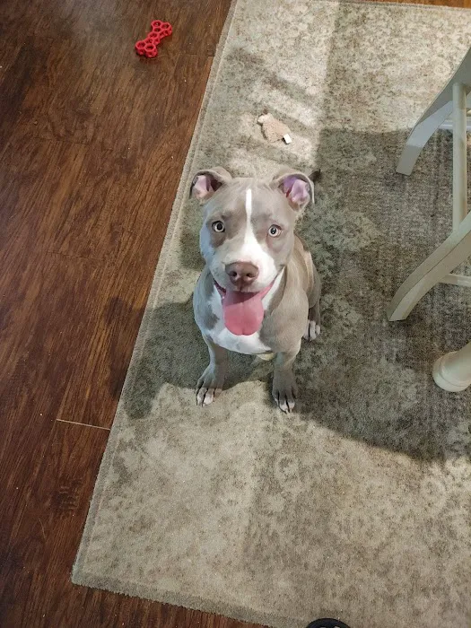 Banfield Pet Hospital Picture 1