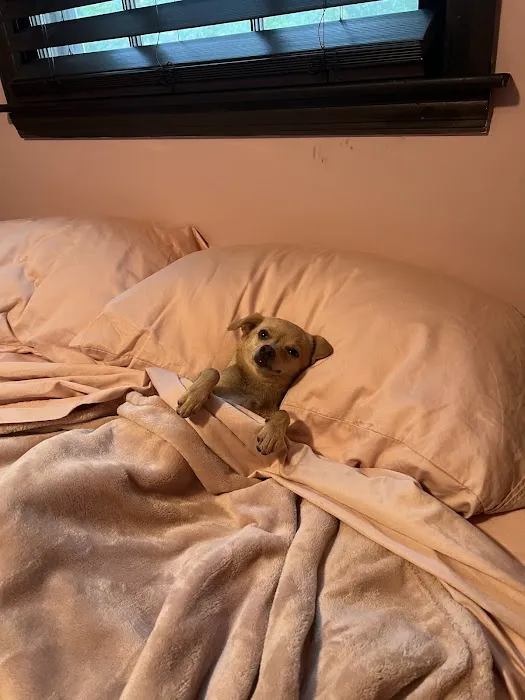 Banfield Pet Hospital Picture 2