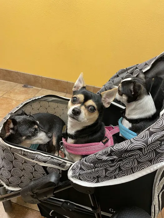 Banfield Pet Hospital Picture 7