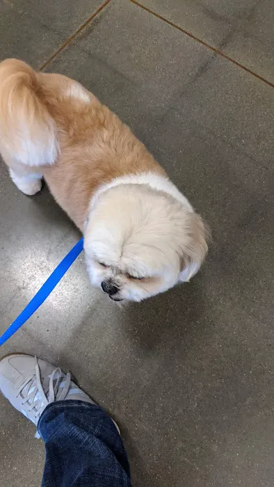 Banfield Pet Hospital Picture 6