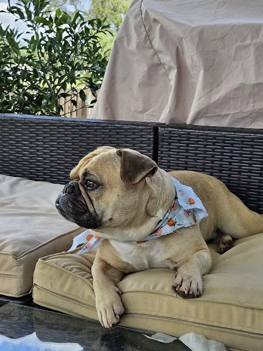 Banfield Pet Hospital Picture 4