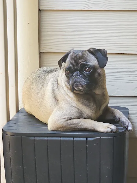 Banfield Pet Hospital Picture 9