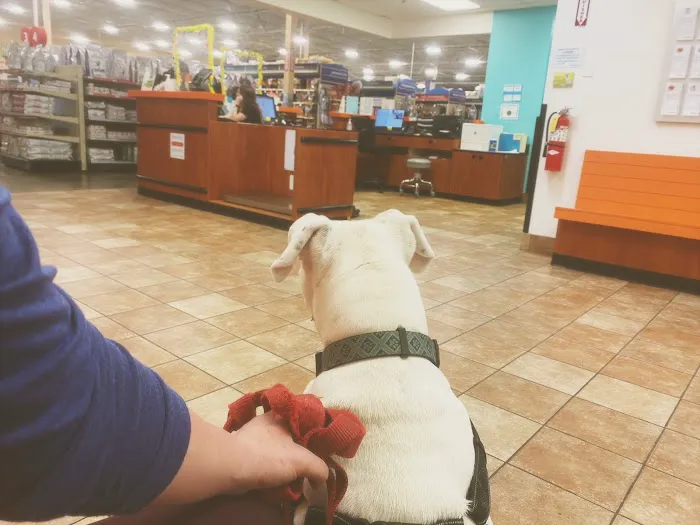 Banfield Pet Hospital Picture 8