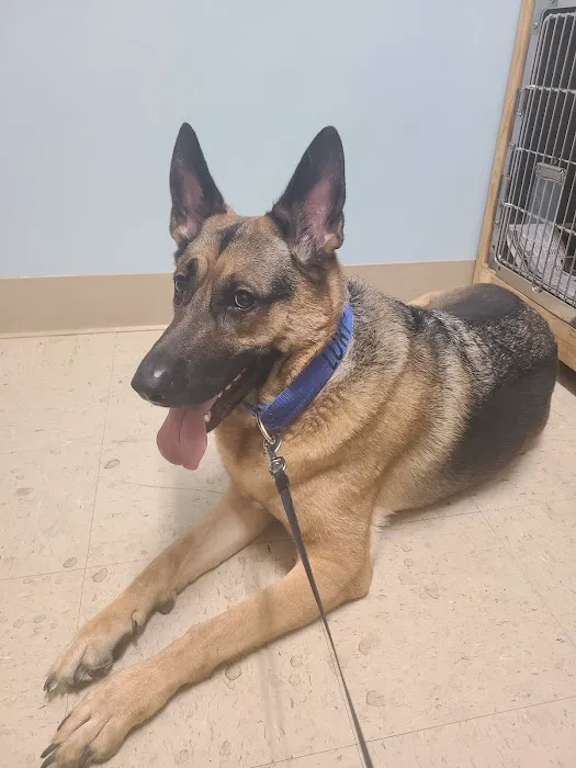 HELP Spay Neuter Clinic Picture 1