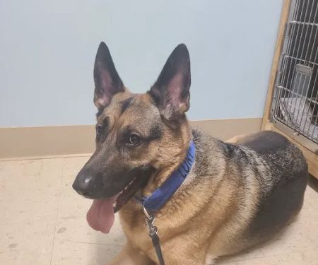 HELP Spay Neuter Clinic