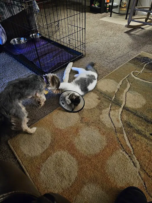 HELP Spay Neuter Clinic Picture 3