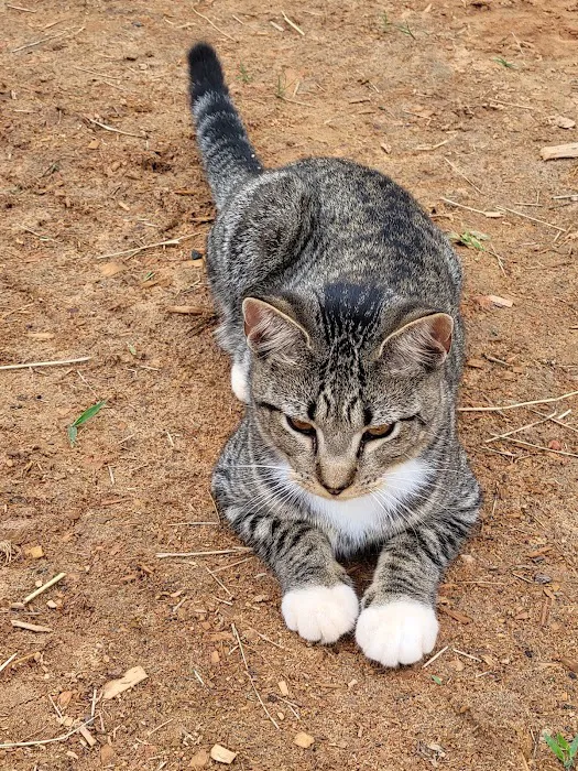 HELP Spay Neuter Clinic Picture 4