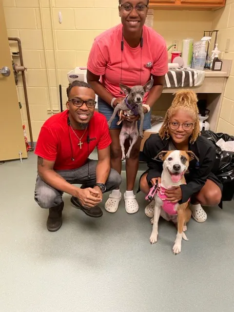 HELP Spay Neuter Clinic Picture 7