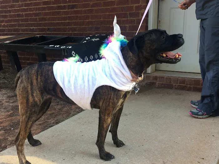 Coweta Animal Hospital Picture 1