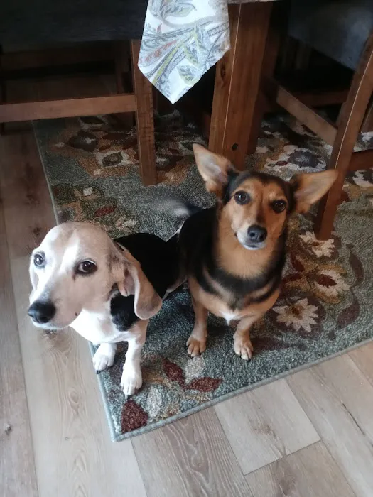 Coweta Animal Hospital Picture 4