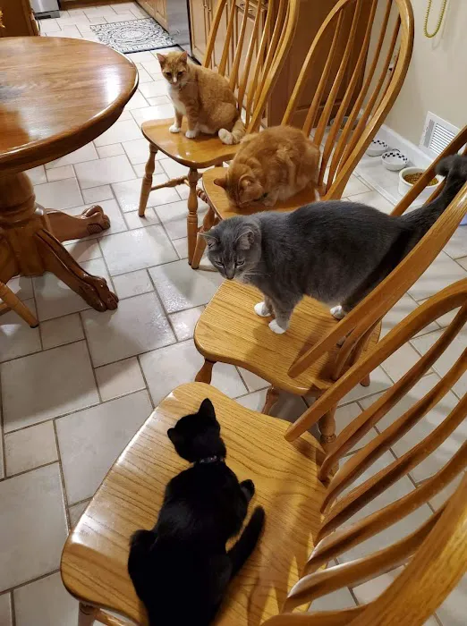 Coweta Animal Hospital Picture 2