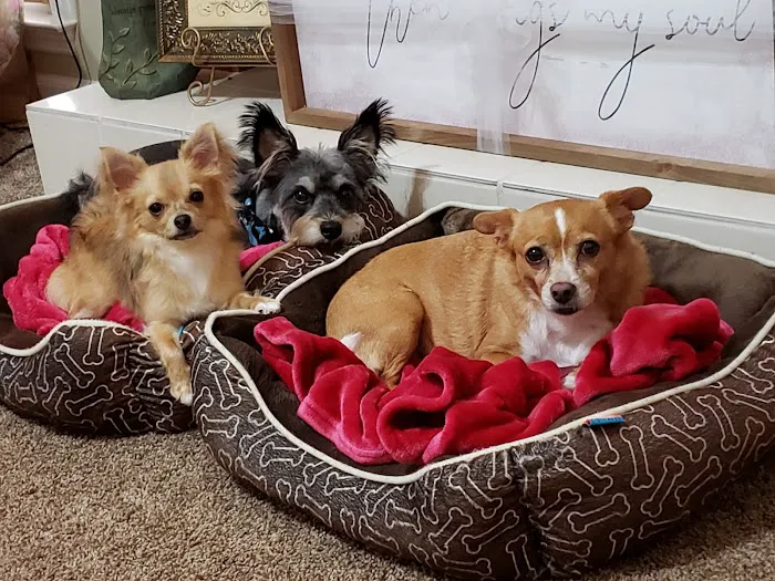 Coweta Animal Hospital Picture 6