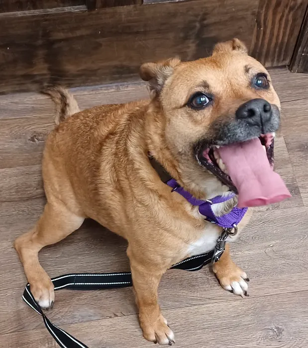 Coweta Animal Hospital Picture 7