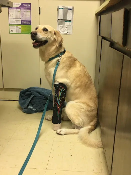 Coweta Animal Hospital Picture 5