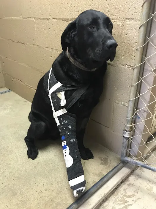 Coweta Animal Hospital Picture 9